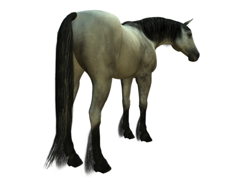 vadlo_117.png