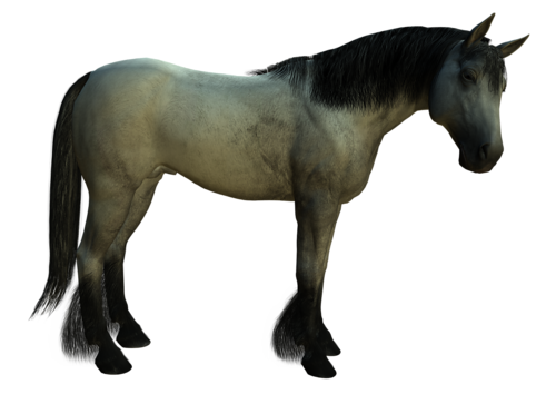 vadlo_118.png