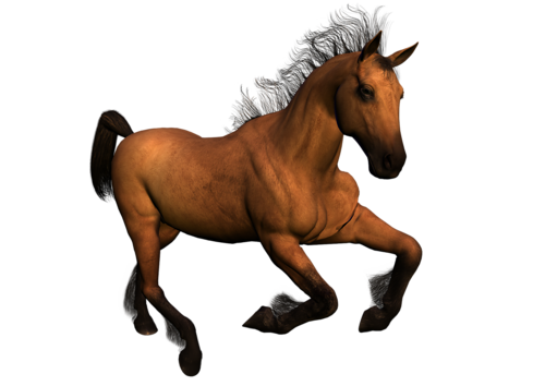 vadlo_119.png