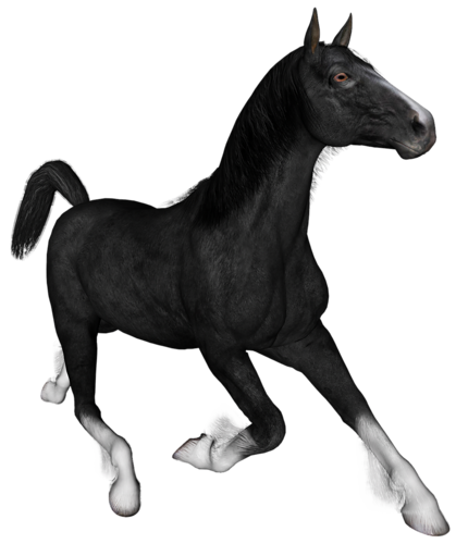 vadlo_127.png