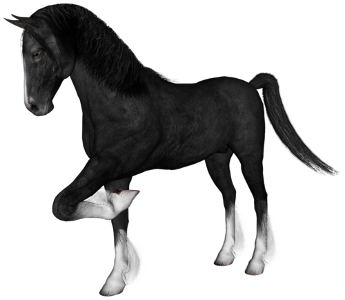 vadlo_128.png