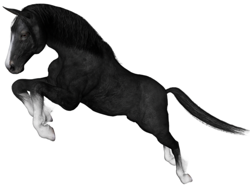 vadlo_129.png