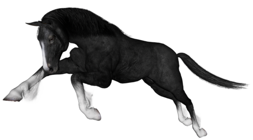 vadlo_131.png