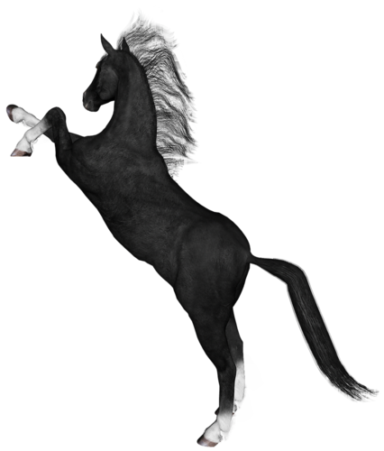 vadlo_132.png