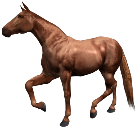 vadlo_133.png