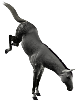 vadlo_136.png