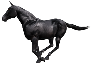 vadlo_137.png
