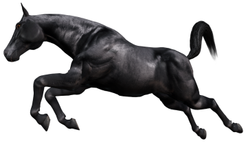vadlo_138.png