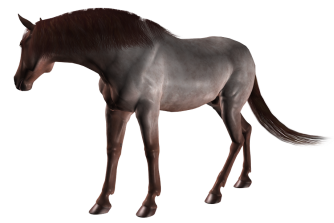 vadlo_141.png