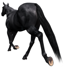 vadlo_142.png