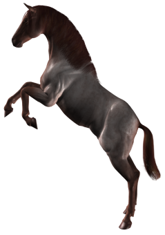 vadlo_143.png