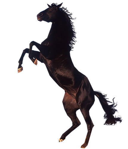 vadlo_145.png