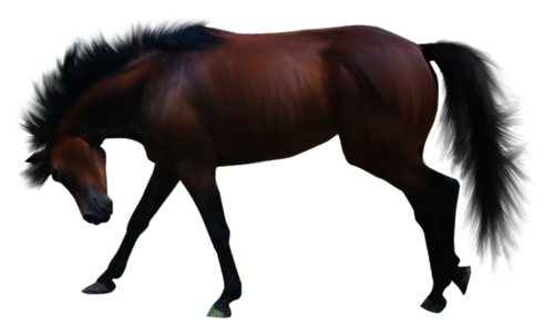 vadlo_15.png