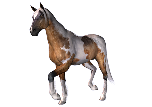 vadlo_158.png