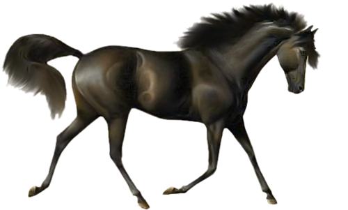 vadlo_162.png