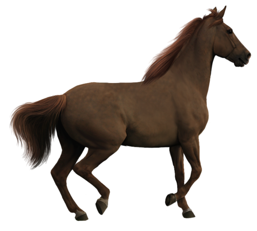 vadlo_166.png