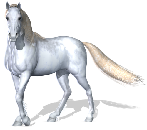 vadlo_177.png