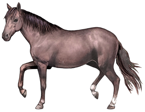 vadlo_178.png