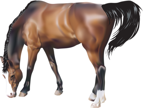 vadlo_179.png