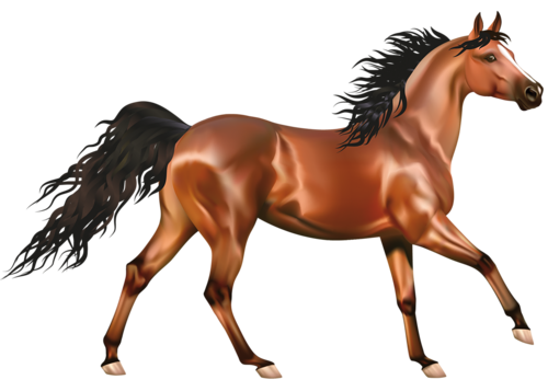 vadlo_185.png