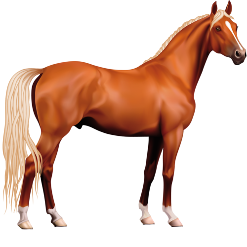 vadlo_186.png