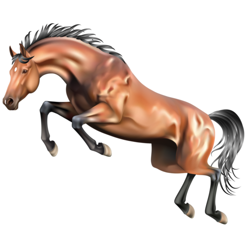 vadlo_189.png