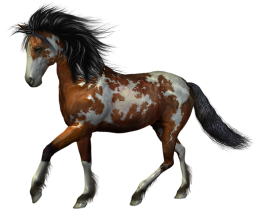 vadlo_208.png