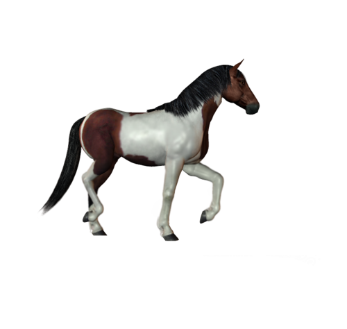 vadlo_216.png