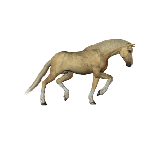 vadlo_218.png