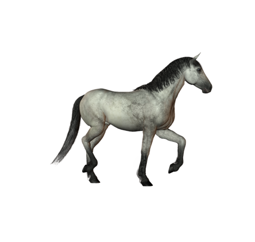 vadlo_220.png