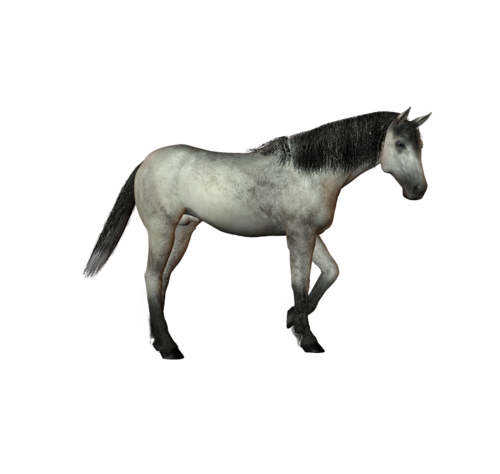 vadlo_222.png
