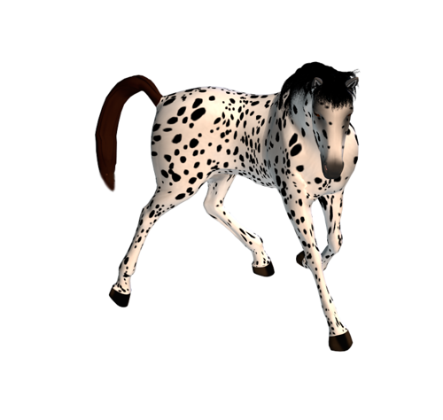 vadlo_223.png