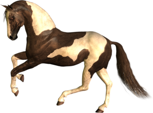 vadlo_225.png