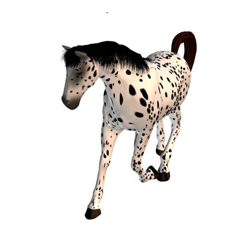 vadlo_227.png