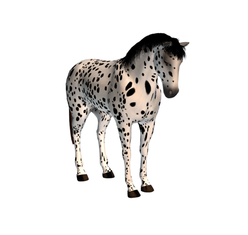 vadlo_228.png