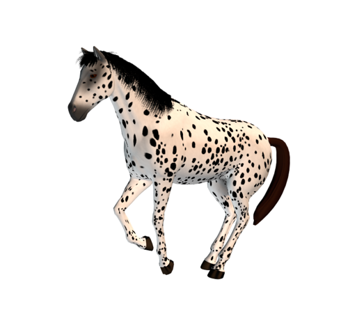 vadlo_229.png