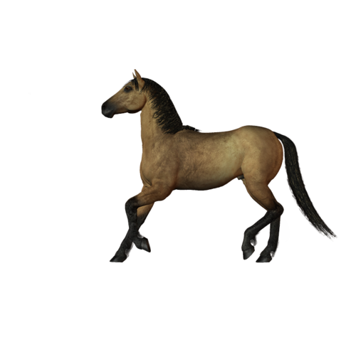 vadlo_231.png