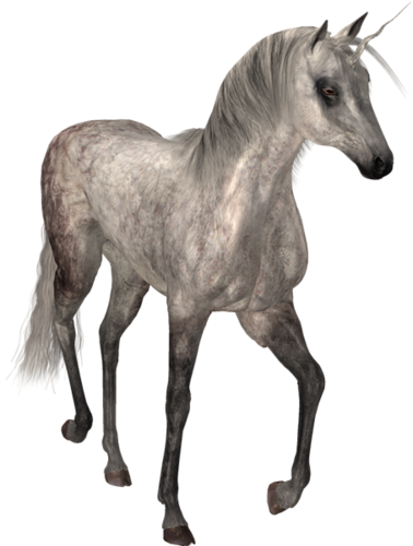 vadlo_236.png