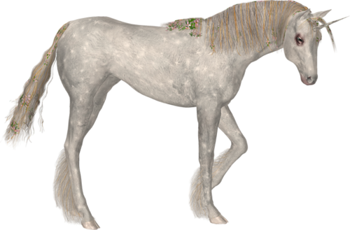 vadlo_238.png