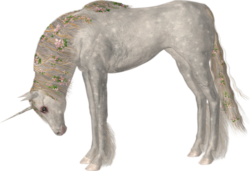 vadlo_239.png