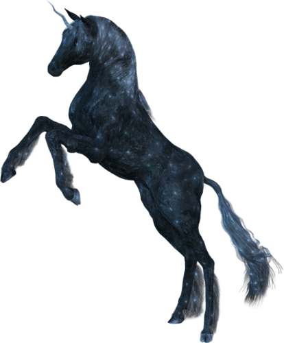 vadlo_240.png