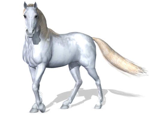 vadlo_245.png