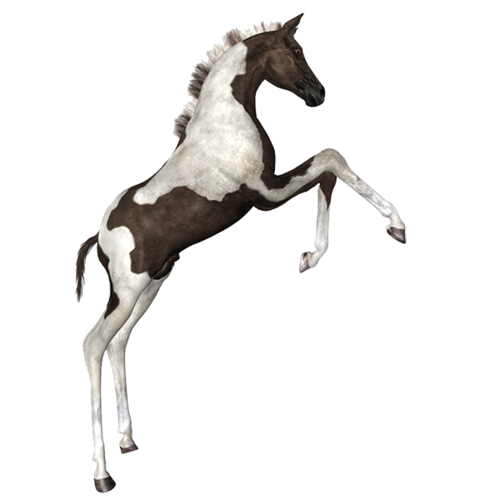 vadlo_250.png