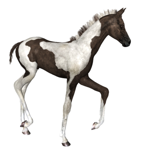 vadlo_252.png