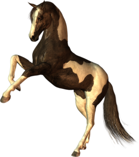 vadlo_270.png
