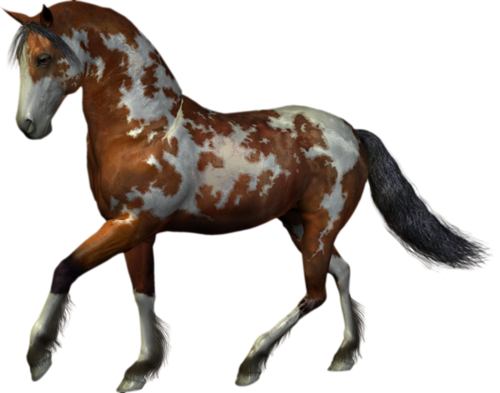 vadlo_292.png