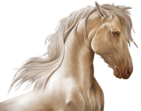 vadlo_318.png