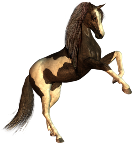 vadlo_320.png