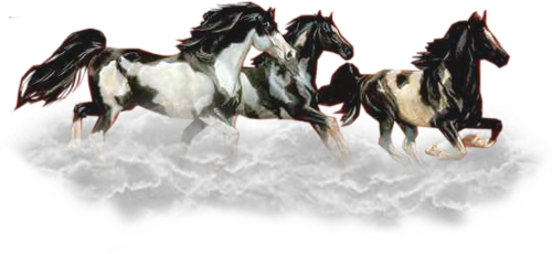 vadlo_329.png