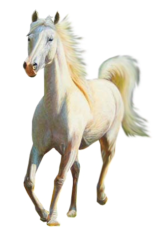 vadlo_337.png